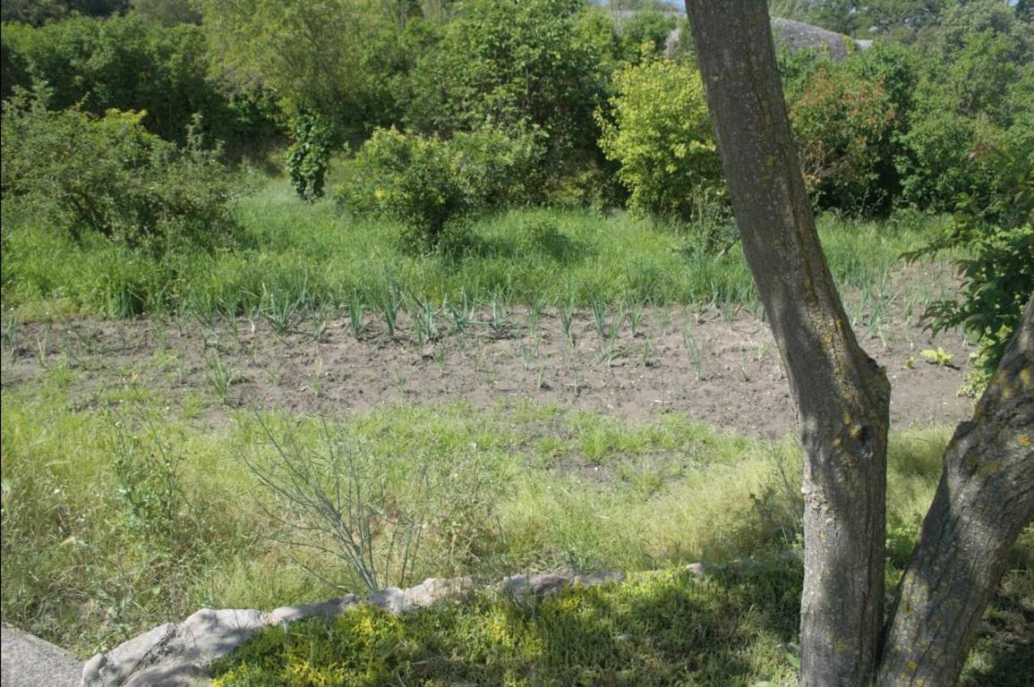 Sagas Masoveria La Roca מראה חיצוני תמונה